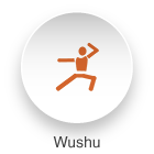 Wushu